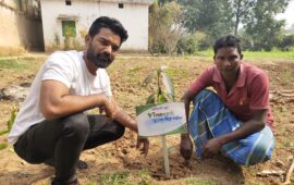 Tree Plantation Drive Story 121 – How Treewards aided Poonam Singh