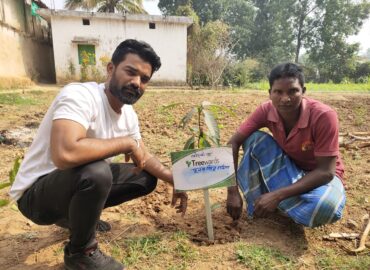 Tree Plantation Drive Story 121 – How Treewards aided Poonam Singh