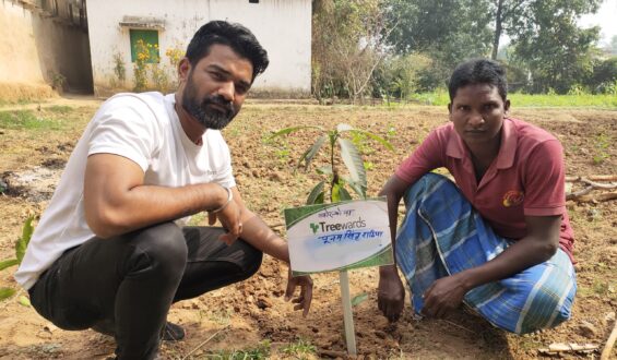 Tree Plantation Drive Story 121 – How Treewards aided Poonam Singh