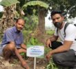 Tree Plantation Drive Story 124 – How Treewards aided Ramprasad Choudhary