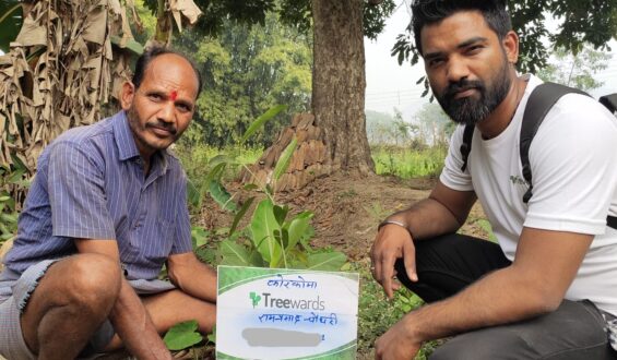 Tree Plantation Drive Story 124 – How Treewards aided Ramprasad Choudhary