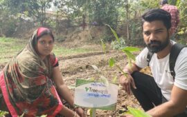 Tree Plantation Drive Story 123 – How Treewards helped Gajmati Choudhary