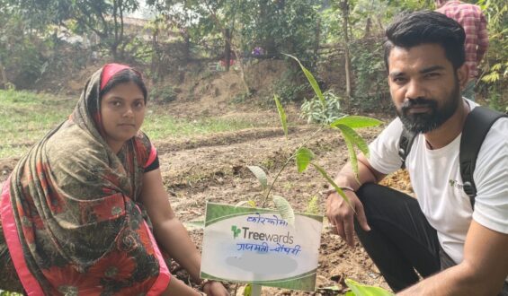Tree Plantation Drive Story 123 – How Treewards helped Gajmati Choudhary