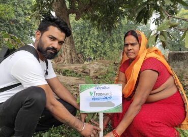 Tree Plantation Drive Story 128 – How Treewards aided Kevra Choudhary