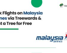 Book Flights on Malaysia Airlines via Treewards & Plant a Tree for Free