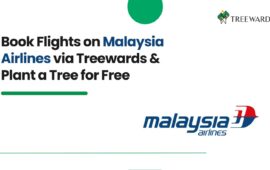 Book Flights on Malaysia Airlines via Treewards & Plant a Tree for Free