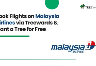 Book Flights on Malaysia Airlines via Treewards & Plant a Tree for Free