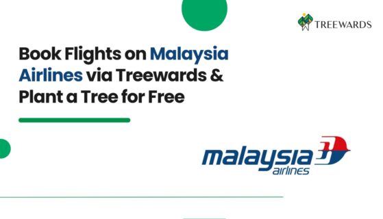 Book Flights on Malaysia Airlines via Treewards & Plant a Tree for Free