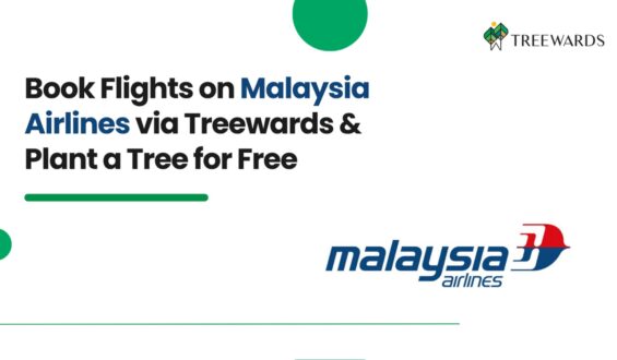 Book Flights on Malaysia Airlines via Treewards & Plant a Tree for Free