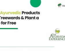 Buy The Ayurveda Experience Products via Treewards and trees planted for free