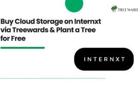 Buy Cloud Storage on Internxt via Treewards & Plant a Tree for Free