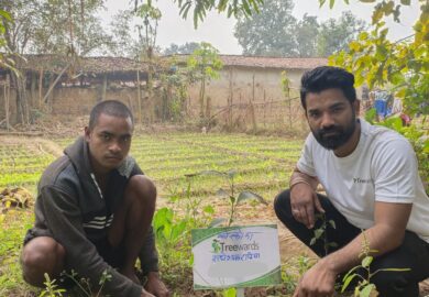 Tree Plantation Drive Story 133 – How Treewards aided Radheshyam Rathiya