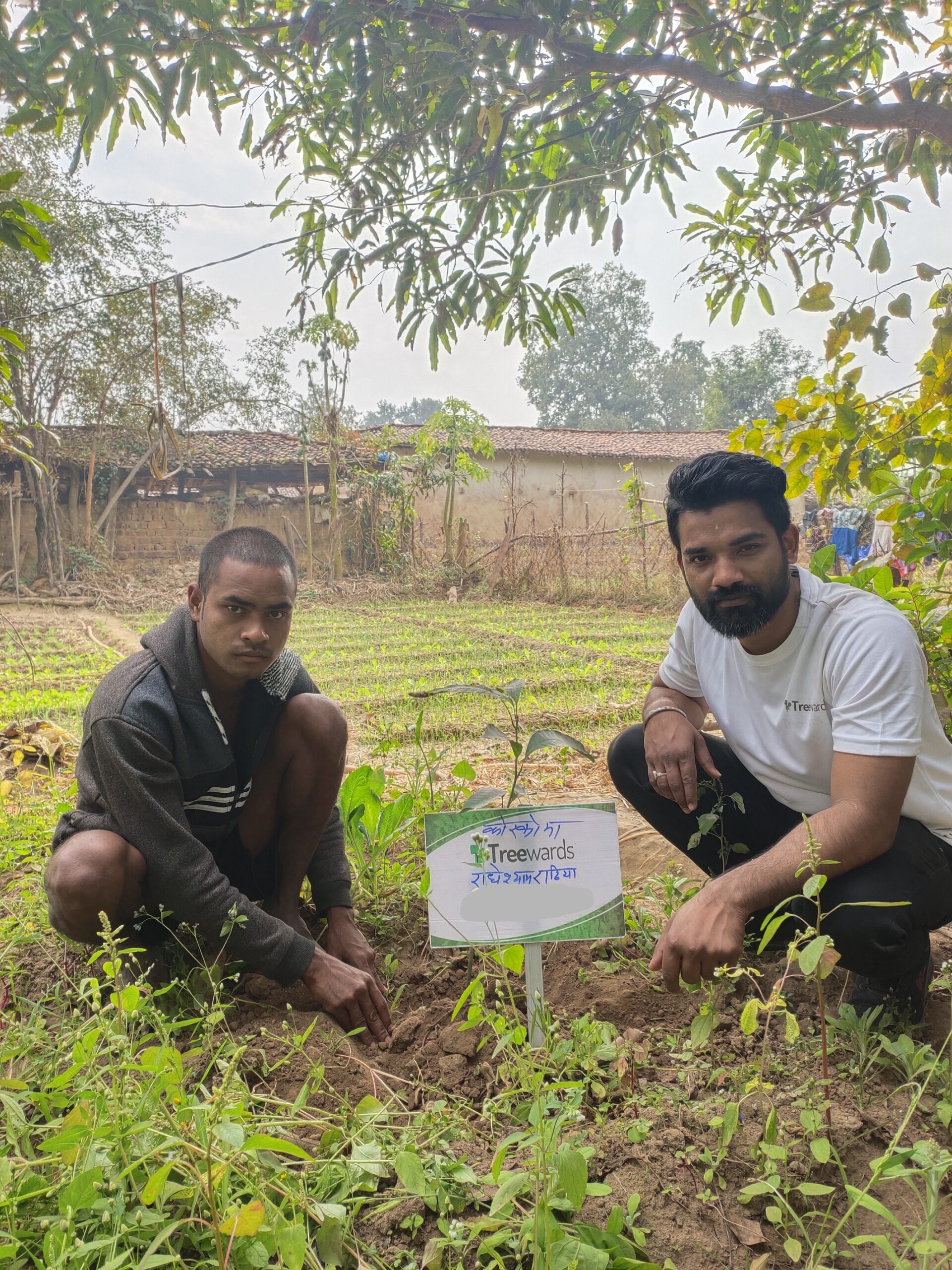 Tree Plantation Drive Story 133 – How Treewards aided Radheshyam Rathiya