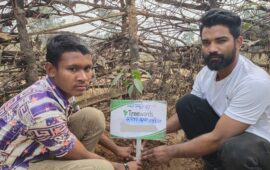 Tree Plantation Drive Story 135 – How Treewards helped Rupesh Kumar