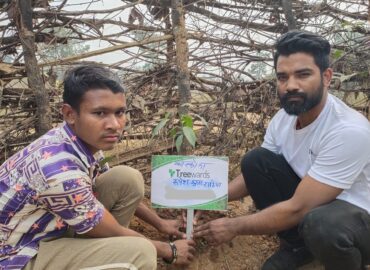 Tree Plantation Drive Story 135 – How Treewards helped Rupesh Kumar