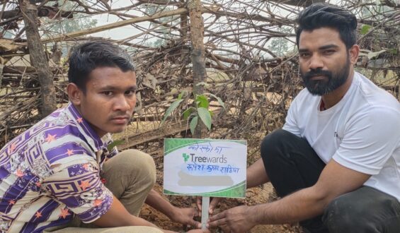 Tree Plantation Drive Story 135 – How Treewards helped Rupesh Kumar