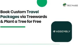 Book Custom Travel Packages on Assembly Travels via Treewards & Plant a Tree for Free