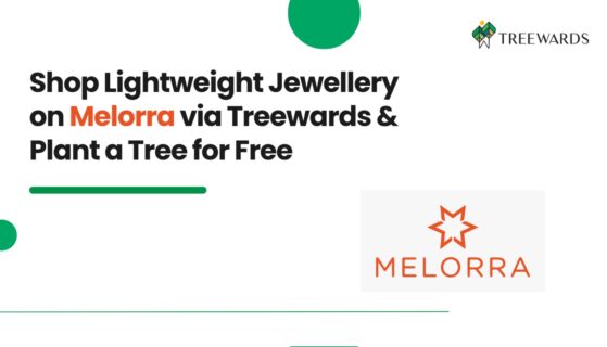 Shop Lightweight Jewellery on Melorra via Treewards & Plant a Tree for Free