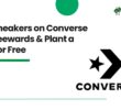 Buy Sneakers on Converse via Treewards & Plant a Tree for Free
