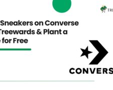 Buy Sneakers on Converse via Treewards & Plant a Tree for Free