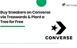 Buy Sneakers on Converse via Treewards & Plant a Tree for Free
