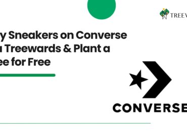 Buy Sneakers on Converse via Treewards & Plant a Tree for Free