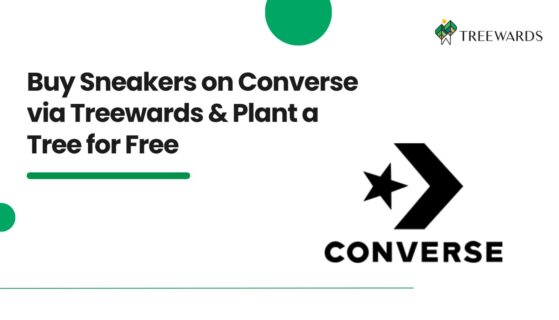 Buy Sneakers on Converse via Treewards & Plant a Tree for Free