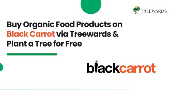 Buy Organic Food Products on Black Carrot via Treewards & Plant a Tree for Free